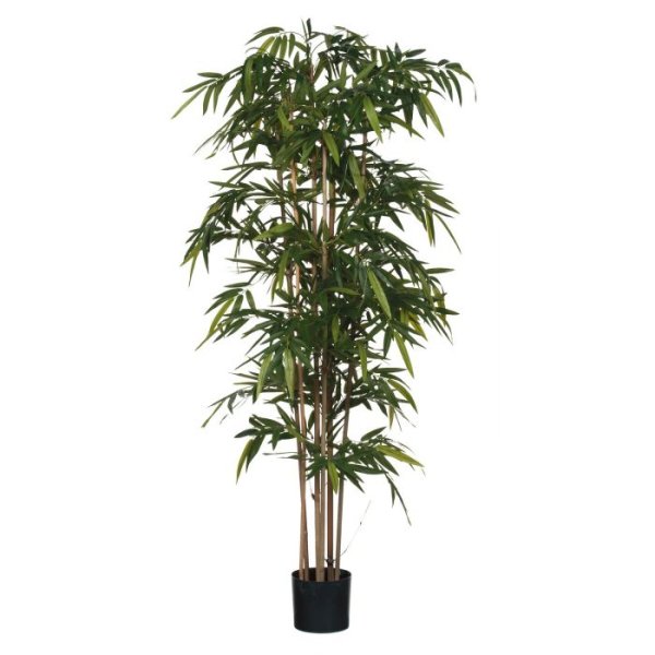 MICA DECORATIONS BAMBOO ARTIFICIAL PLANT - H200 X √ò100 CM - GREEN