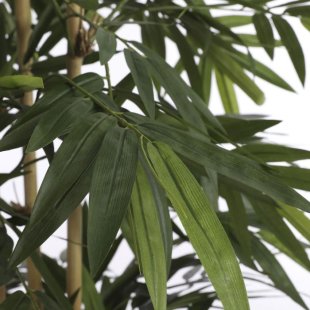 MICA DECORATIONS BAMBOO ARTIFICIAL PLANT - H200 X √ò100 CM - GREEN