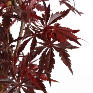 MICA DECORATIONS MAPLE ARTIFICIAL PLANT - H150 X √ò80 CM - RED