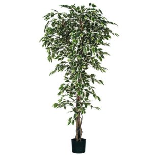 MICA DECORATIONS FICUS ARTIFICIAL PLANT - H200x85 CM - GREEN VARIEGATED
