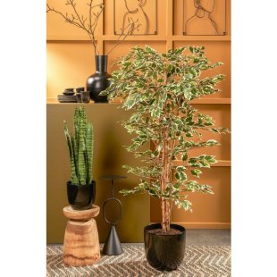MICA DECORATIONS FICUS ARTIFICIAL PLANT - H170 X √ò80 CM - GREEN VARIEGATED