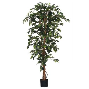 MICA DECORATIONS FICUS ARTIFICIAL PLANT - H170 X √ò80 CM - GREEN