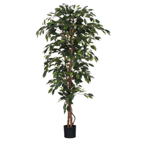 MICA DECORATIONS FICUS ARTIFICIAL PLANT - H170 X √ò80 CM - GREEN