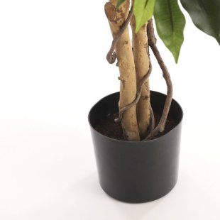 MICA DECORATIONS FICUS ARTIFICIAL PLANT - H150 X √ò85 CM - GREEN