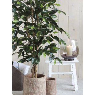 MICA DECORATIONS FICUS ARTIFICIAL PLANT - H150 X √ò85 CM - GREEN