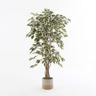 MICA DECORATIONS FICUS ARTIFICIAL PLANT - H135 X √ò75 CM - GREEN VARIEGATED