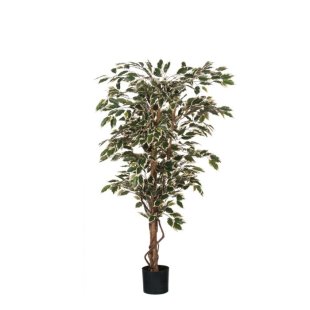 MICA DECORATIONS FICUS ARTIFICIAL PLANT - H135 X √ò75 CM - GREEN VARIEGATED