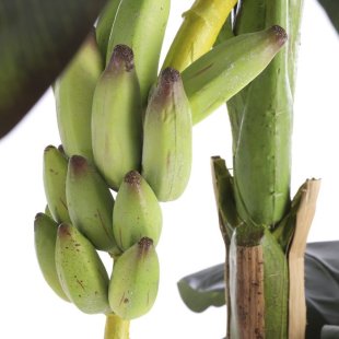 MICA DECORATIONS BANANA TREE ARTIFICIAL PLANT - H120 X √ò90 CM - GREEN