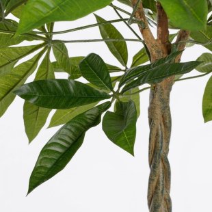 MICA DECORATIONS PACHIRA ARTIFICIAL PLANT - H60 X √ò60 CM - GREEN