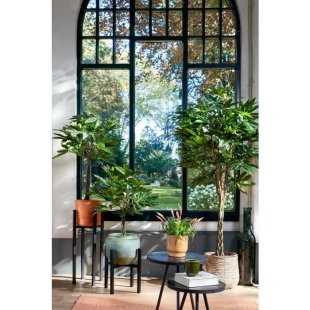 MICA DECORATIONS PACHIRA ARTIFICIAL PLANT - H80 X √ò60 CM - GREEN