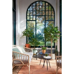 MICA DECORATIONS PACHIRA ARTIFICIAL PLANT - H80 X √ò60 CM - GREEN