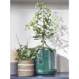 MICA DECORATIONS FLOYD PLANT POT - H17 X √ò19 CM - GREEN