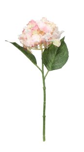 Fantasia Hydrangea Pick Pink