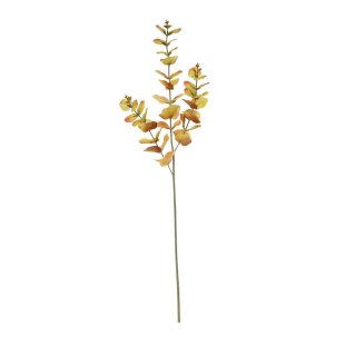 Glamis eucylyptus spray 73cm Orange