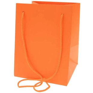 Orange Hand Tie Bag (19x25cm) x10