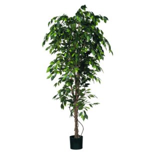 MICA DECORATIONS FICUS ARTIFICIAL PLANT - H200 X √ò85 CM - GREEN