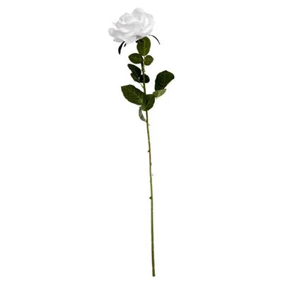 Arundel Open Rose White (76cm x 13cm)