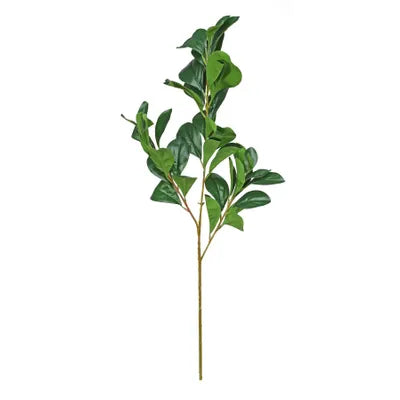 Artificial - Ruscus