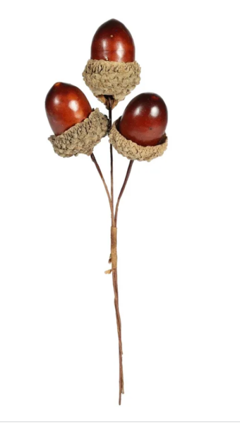 Pick - Acorn BOX OF 12