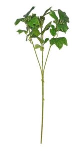 Artificial - French Ivy Spray
