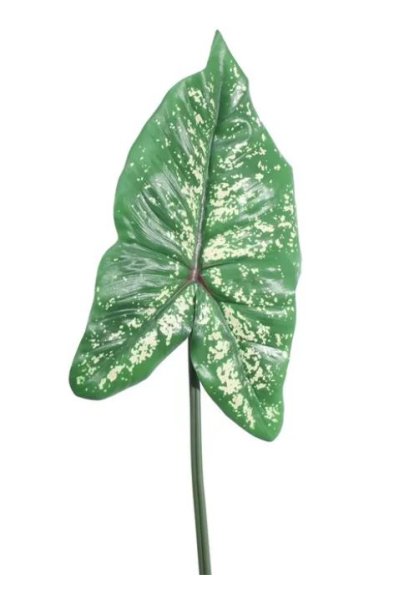 Artificial - Syngonium Leaf