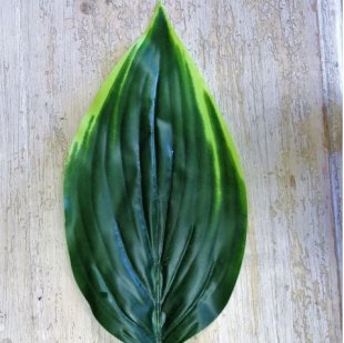 Artificial - Hosta Leaf