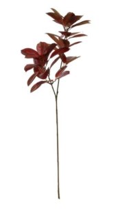 Artificial - Citrus Leaves - Chocolate