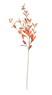 Artificial - Pivet Leaf - Orange