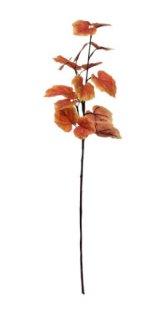 Artificial - Tillia Leaves - Orange