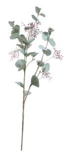 Artificial - Eucalyptus Seeded