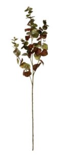 Artficial - Eucalyptus - Brown