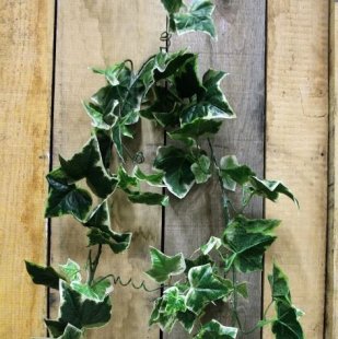 Artificial - Holland Garland