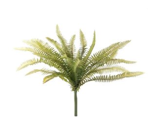Artificial - Forest Fern