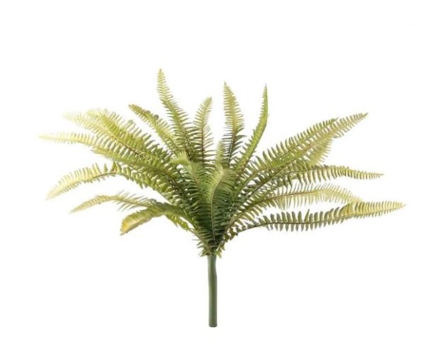 Artificial - Forest Fern
