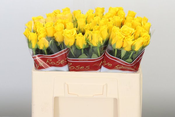 Yellow Rose - 10 stems