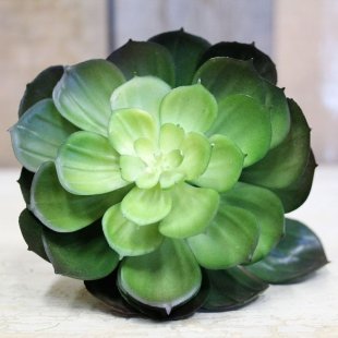 Artificial- Succulent