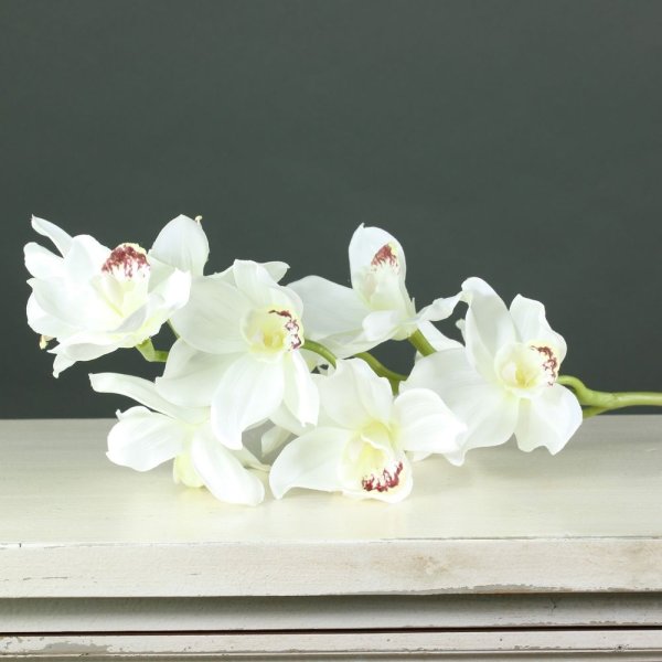 Artificial - Cymbidium Orchid- White