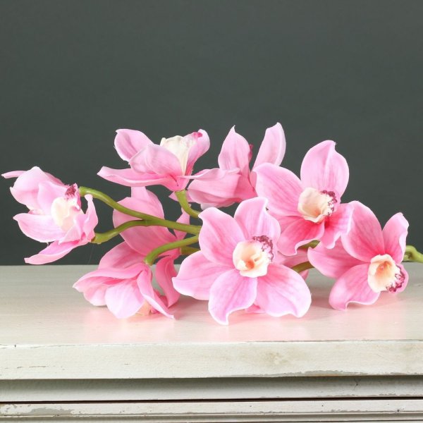 Artificial - Cymbidium Orchid - Pink