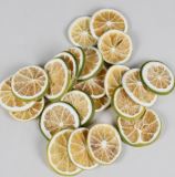 Orange Slices - Green