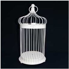 Bird Cage - Cream