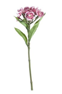 Artificial - Dianthus - Plum