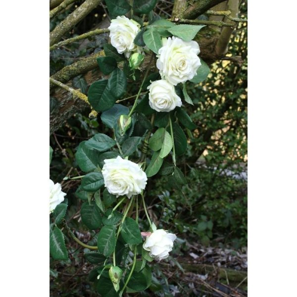 Artificial - Rose Garland - White