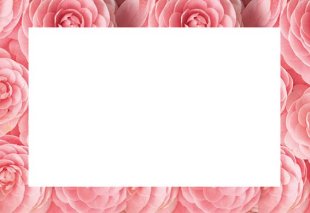 Greeting Card - Pink Dahlia Border