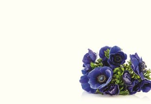 Greeting Card - Blue Anenome