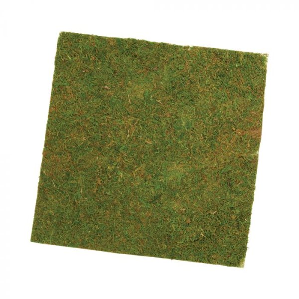 Mossed Sheet