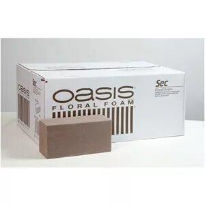 OASIS - SEC DRY FOAM BRICK 20