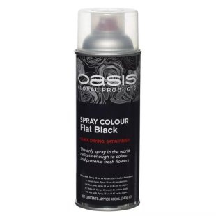 OASIS - S/COLOUR FLAT BLACK