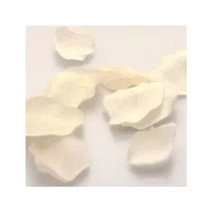 Rose Petals - White