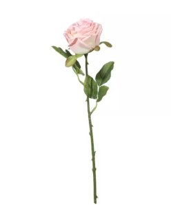 Fantasia Rose Pink