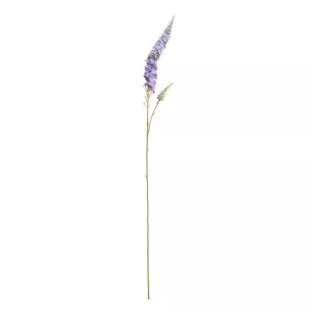 Veronica Spray Blue (24/480)